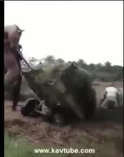 Os de verdade eu sei quem são