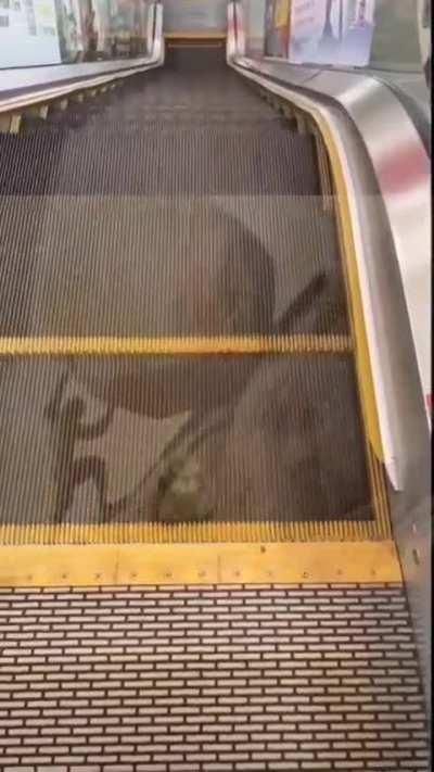 What my life feels like atm.....