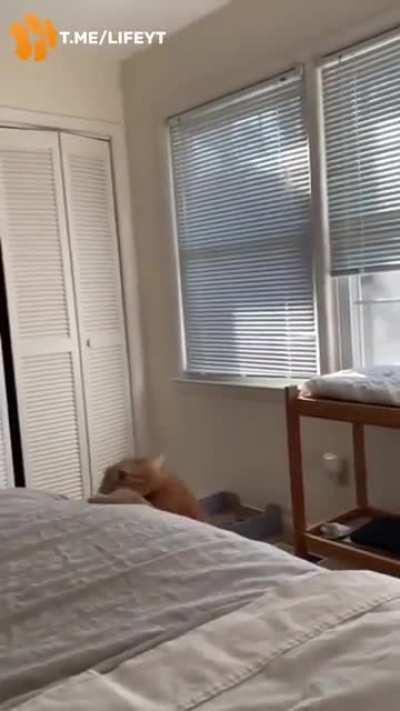 Awww he's so cute and big ❤🤩