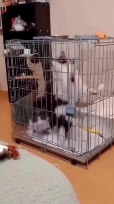 Are they washing machine?