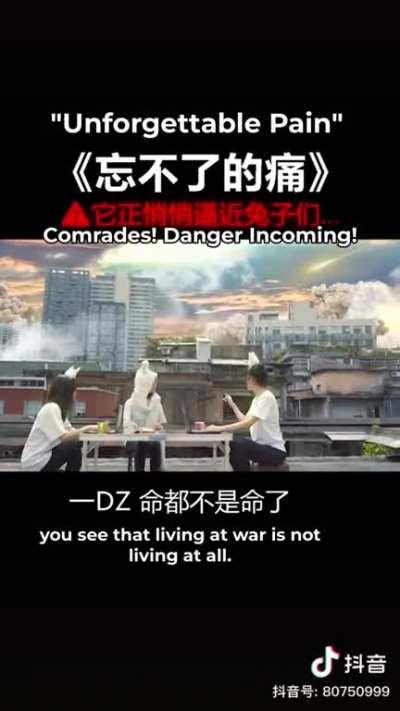 Chinese TikTok: B-2 Spirits are literal demonic spirits summoned by US Air Force cultists.