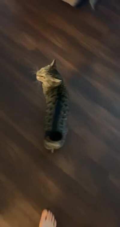 He wants to be let in THIS INSTANT