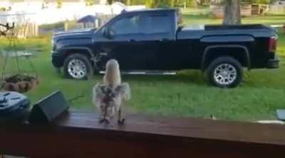 Always a good time for a dance party