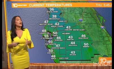 Amanda Pappas ( tampa10)