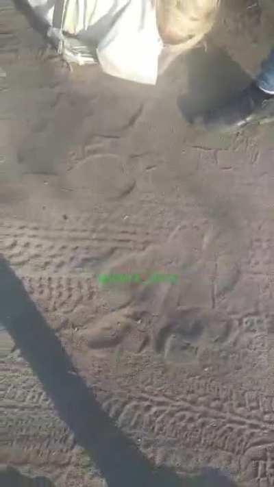 Woman gets beat up by Russian drug dealers for stealing