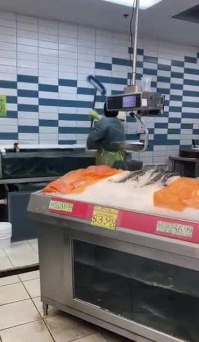 Mop in the fish tank