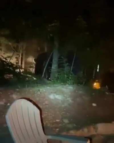 WCGW driving a car through your backyard