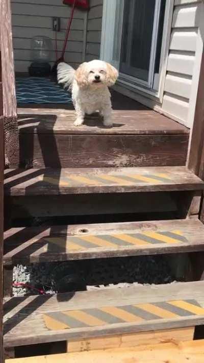 If the sun is even slightly out she squints like this. The most precious thing I’ve ever seen!