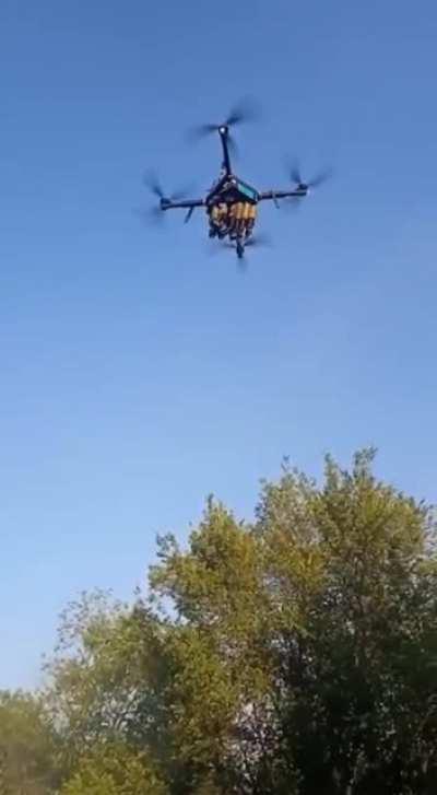 do garage drones count?