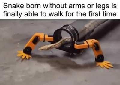 Is this what you call...evolution?