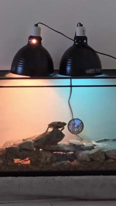 Flapjack nooooo…..