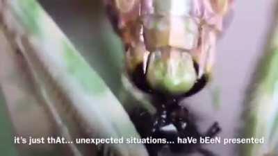 Hello sistErs. i’ve at Last Produced a video in answer to the inquiries about My disappearancE.