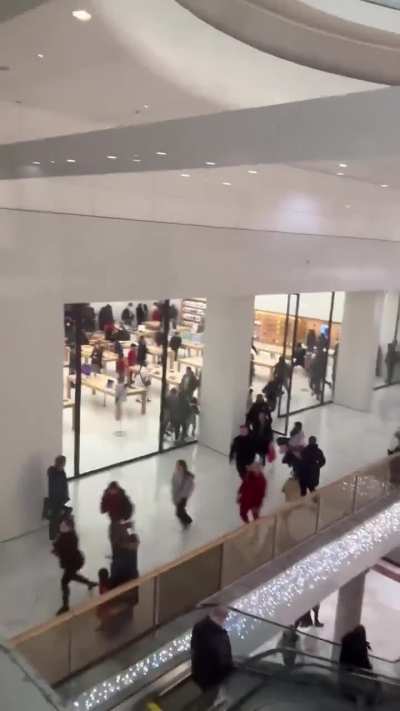 Youths raid an apple store in Brent Cross