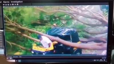 Crumbled like an eggshell