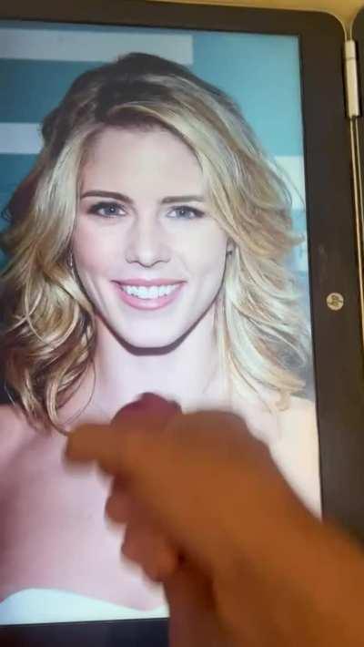 Emily Bett Rickards cum tribute