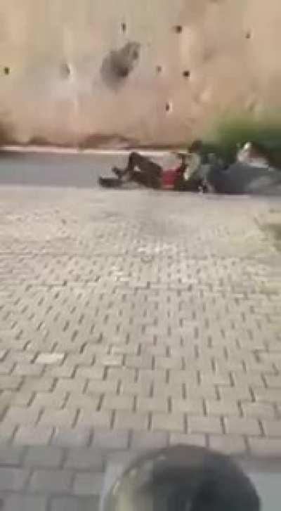 Quick punishment for hitting a dog ...