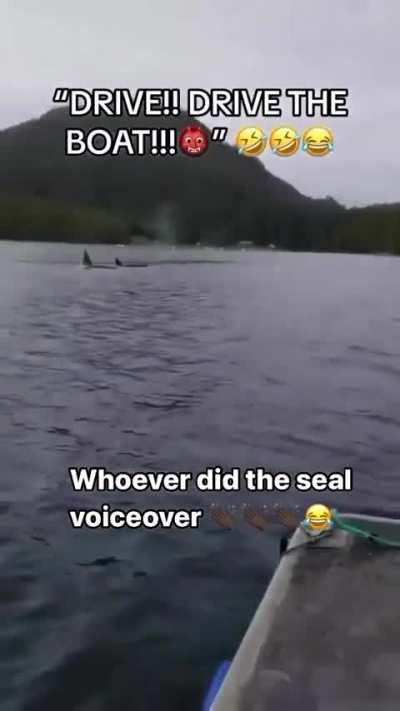 I ain't getting off the boat!