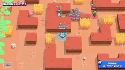 Some people just don't learn...Taken from r/brawlstars from u/PinkpigMyPuff