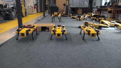 With you, Spot can - Boston Dynamics