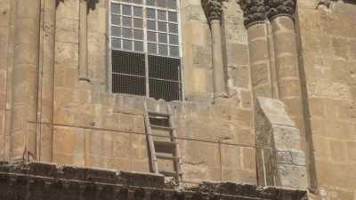 טופ גיק במציאות.