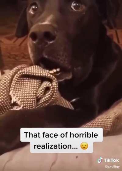 He knows what he did.