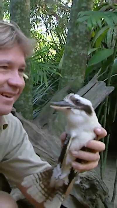 to have a fight between their own species