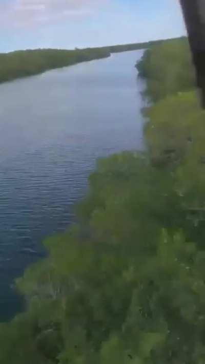 Here comes the unqualified captain again! 😂 😂. All my pilots, please tell me, what went wrong?