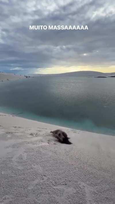 Era pra ter vazado o peito