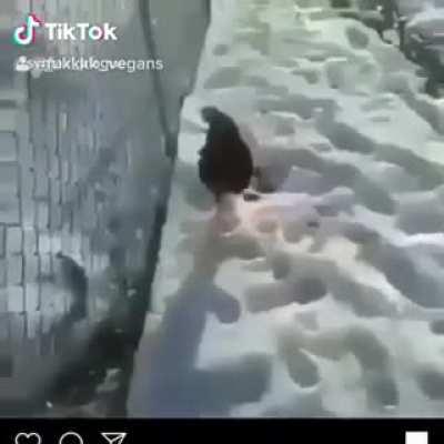 Vegans man 🤦‍♂️