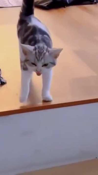 Where the hell have you been ..?!!! (Xpost)