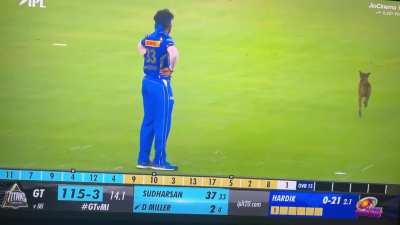 Insult to injury after getting booed 