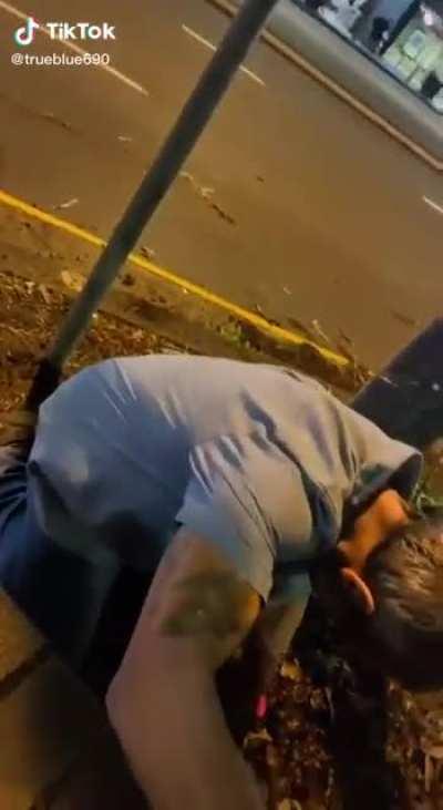 This week on Gardening Australia…