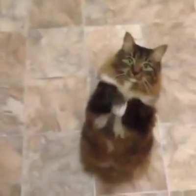 You will give me the sausages