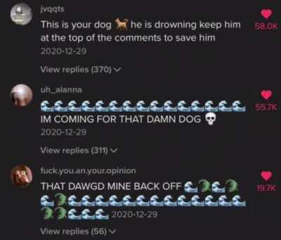 Oh god no not the dog