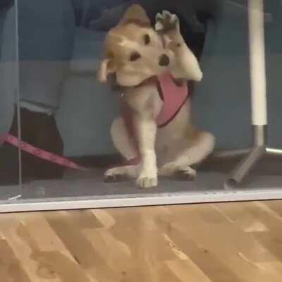 Stuck behind an invisible wall