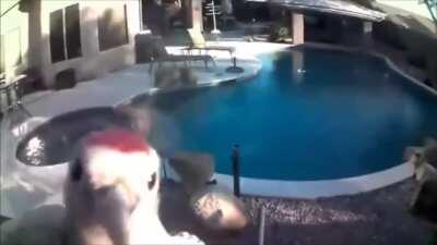 New players lmbing me because I didn't give them an arrow