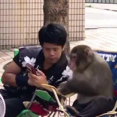 Monkey tells secret