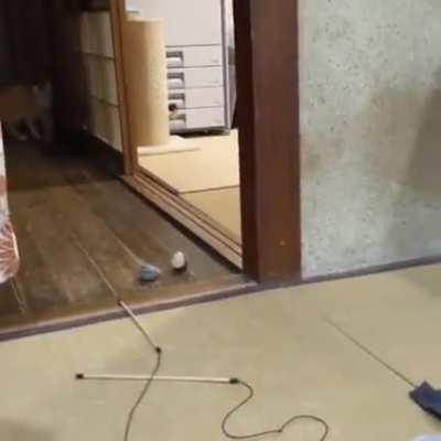 Ну что играем или нет?