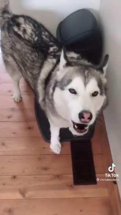 Everyone shut up so I can sing