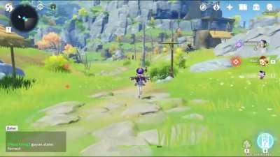 Just admiring the scenery.