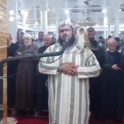A cat jumped on an Imam as he recited a Ramadan prayer during a live broadcast in Algeria 🐈