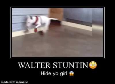 Wowzers Walter got drip