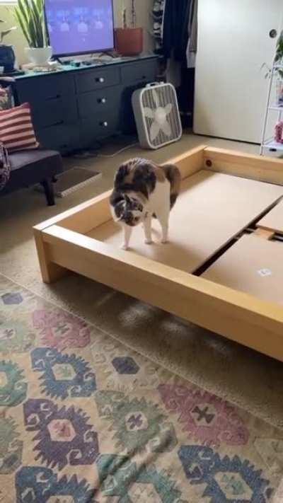 When you startle the cat and realize you might have to call a priest.