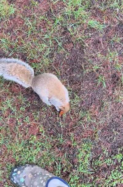 Arms up = Treats now. That’s the rule.