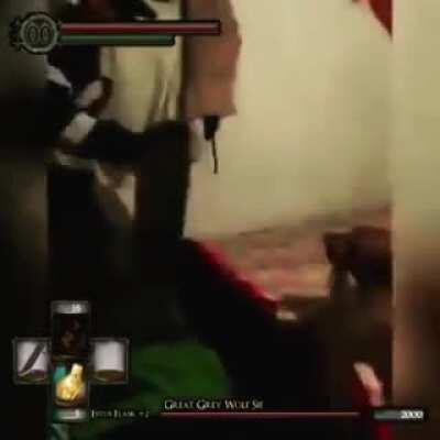 El perro de jess cuando ve a orslok