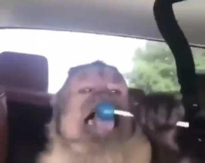 An interesting title