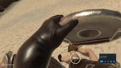 No shields, just a good old-fashioned knife fight