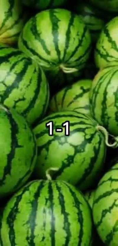 Chal re Bhoplya tunuk tunuk