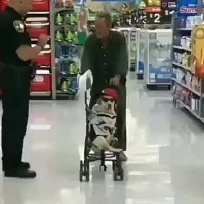 Perro swag 🤝🎩🥂