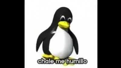 Duxo y Aquino al jugar Warzone .v.